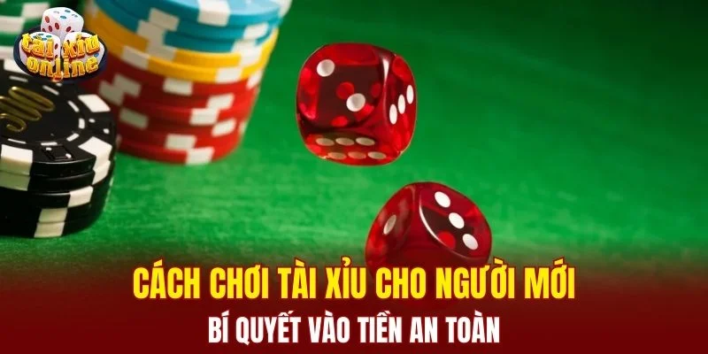 Cách chơi tài xỉu cho người mới - bí quyết vào tiền an toàn
